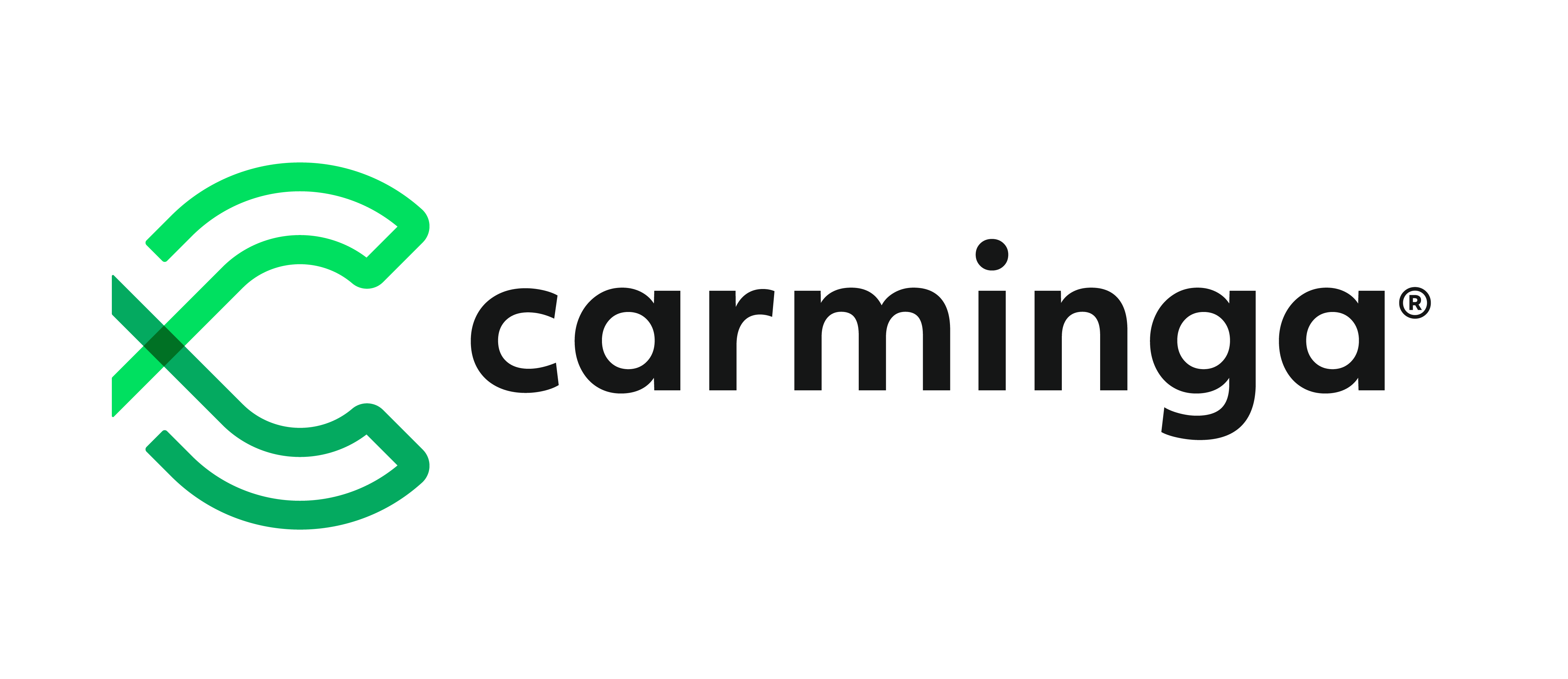 Carminga Auto Abo Logo
