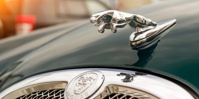 Emblem auf einem grünen Jaguar