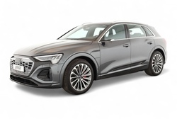 Audi Q8 e-tron 55 quattro S line DigiMatrix Pano 360