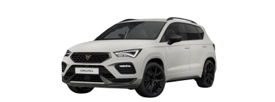 Cupra Ateca 300 PS, Akrapovic Paket