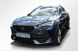 Cupra Formentor 1.5 TSI DSG Full Link Navi PDC SHZ