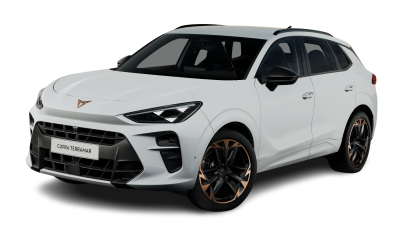 Cupra Terramar VZ 2.0 TSI 265 PS 7-Gang DSG 4Drive