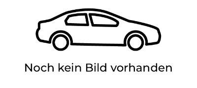 Renault Zoe EXPERIENCE NAVI, CCS, Winter-Paket