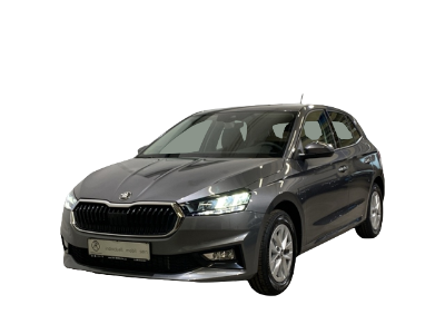 Skoda Fabia 1.0 TSI DSG Selection / LED Einparkhilfe