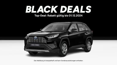 Toyota RAV4 2,5 VVT-i Hybrid, Business Edition