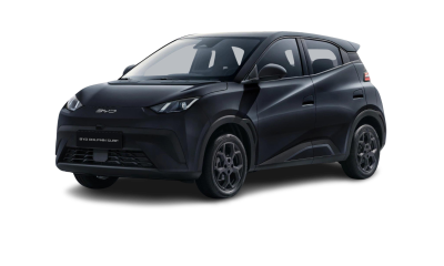 BYD Dolphin Surf